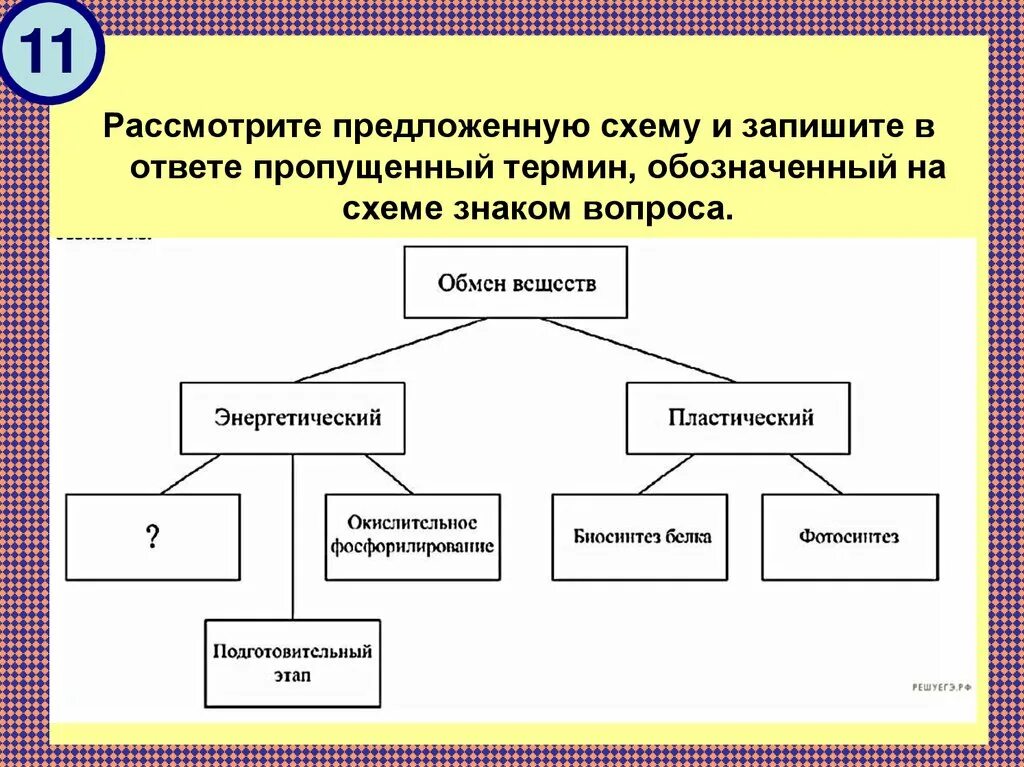 Укажите недостающие элементы. Рассмотрите предложенную схему. Рассмотрите предложенную схему. Запишите. Схема терминов. Укажите пропущенные элементы схемы..