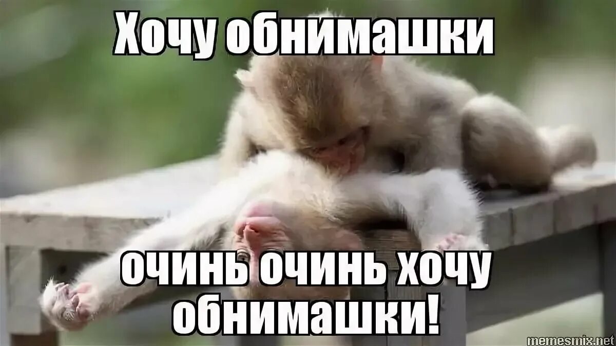 Давай быстрее хочу