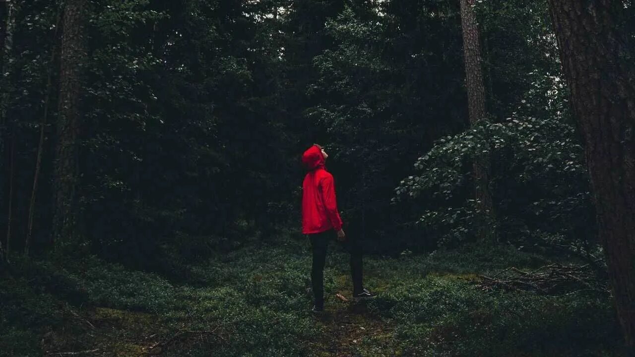 Он взял ее лесу. Человек в темном лесу. человек в лесу эстетика. человек в лесу ночью. человек один в лесу.