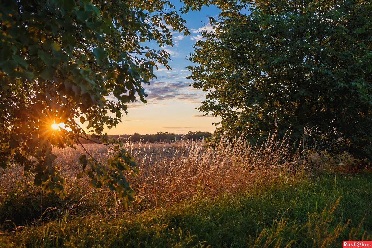 расфокус фотосайт. расфокус видео. расфокус фотосайт. андрюшин александр фотограф. расфокус сайт фотографов.
