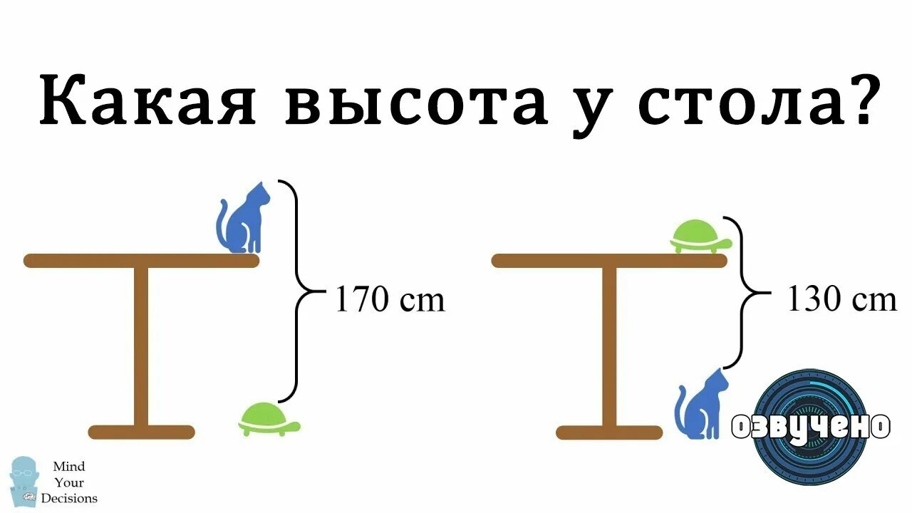 Задача высота стола. Задача про стол кота и черепаху. Задача про высоту стола. Задача высота стола кот черепаха. Задача про кошку и черепаху на столе.