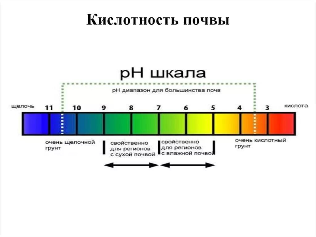 Рн 5 5 2. Рн 5 5 2. Ph 4 кислотный или щелочной. Кислотность почвы 4. Ph 12 кислотность почвы.