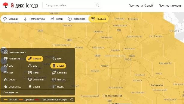 Пыльца прогноз для аллергиков