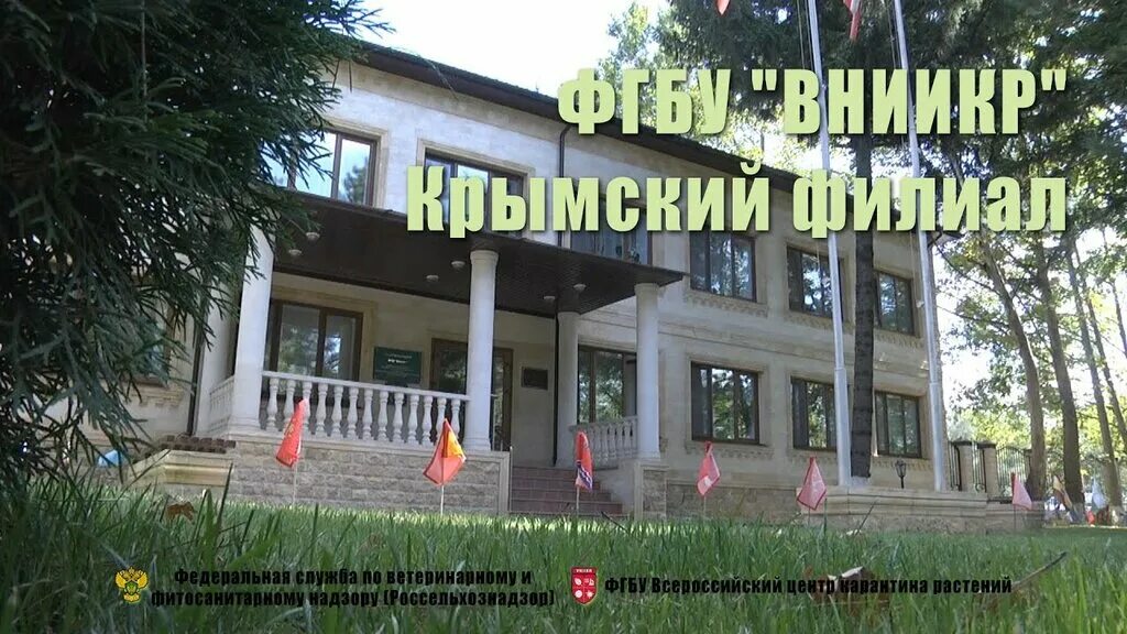Филиал фгбу вниикр. Ростовский филиал фгбу вниикр. всероссийский центр карантина растений. институт карантина растений быково.