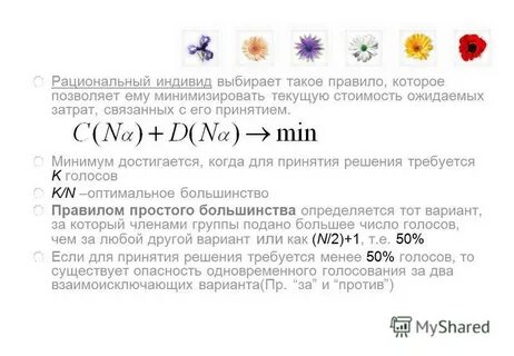 Рациональный индивид