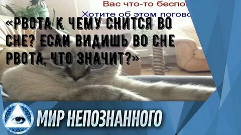 Приснилось отбиваться