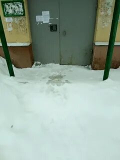 14 подъезд