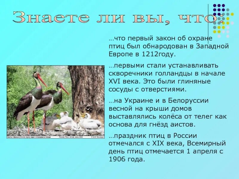 Презентация день птиц 2 класс. День птиц. Международный день птиц. День птиц презентация. 1 Апреля день птиц презентация.