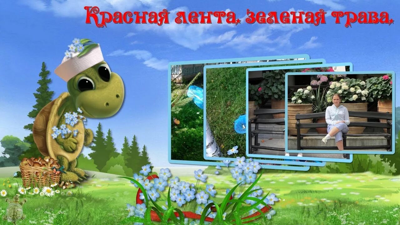 Травинка на закате. Рассвет в поле. Красное лето зеленая трава песня слушать. Песня красная солнца зеленая трава. Золотые маки.