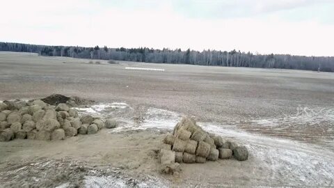 М ферма 2