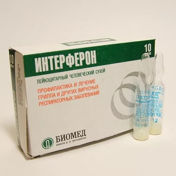 Интерферон интраназальное введение. Интерферон человеческий лейкоцитарный (интерферон альфа) 1000 ме. интерферон альфа 1000 ме. интерферон человеческий лейкоцитарный сухой ампулы 10. интерферон альфа 1000 ме в ампулах.