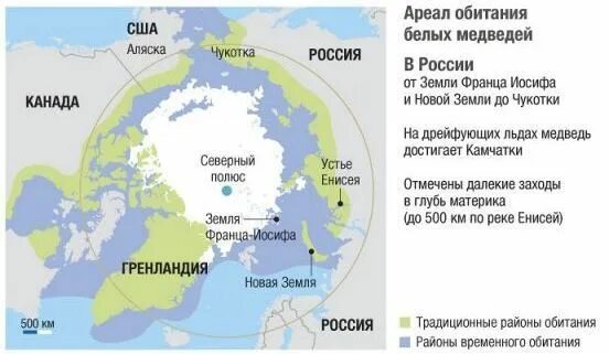 Ареал обитания белых медведей в России. Ариал обитания белых медвелий. Реал обитание белого медведя. Место обитания белого медведя на карте. Как можно объяснить ареал обитания белого медведя