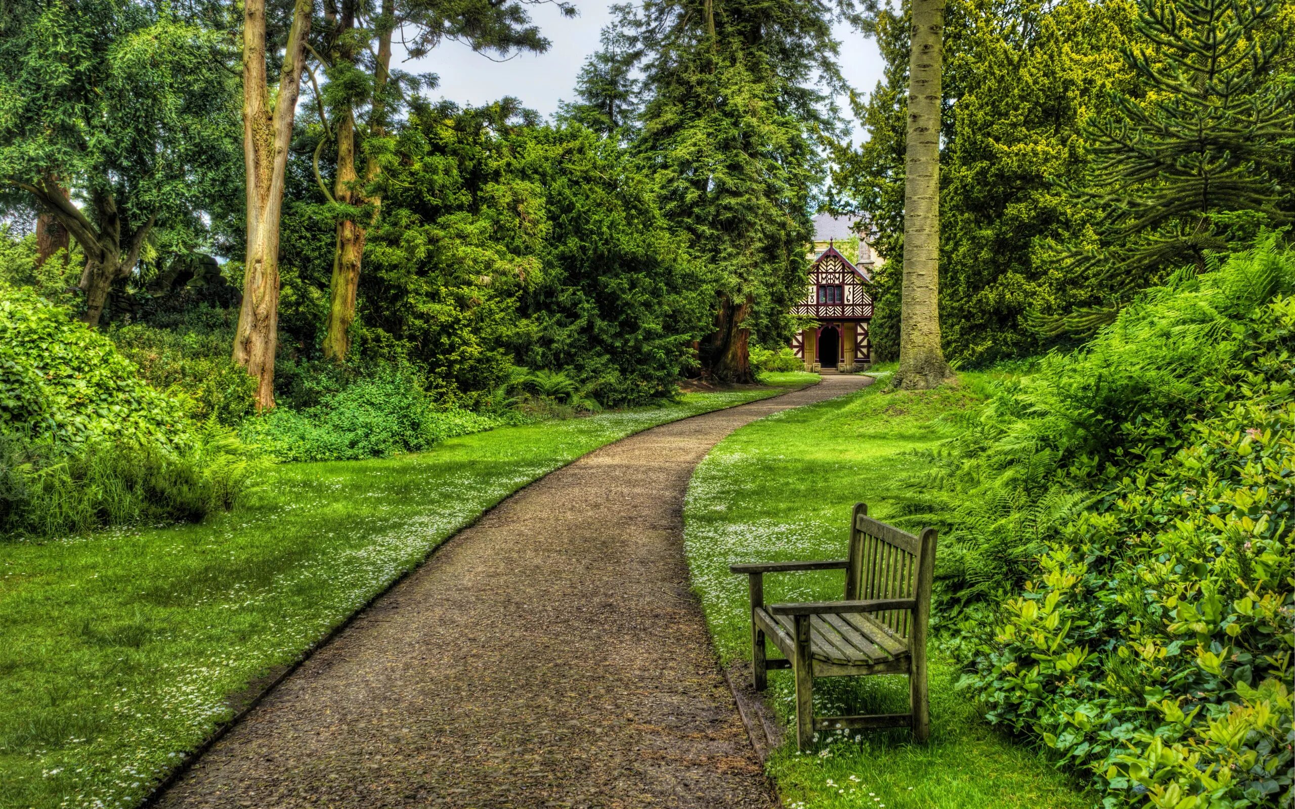 Free Images : tree, nature, grass, field, lawn, meadow, atmosphere, asphalt, wal