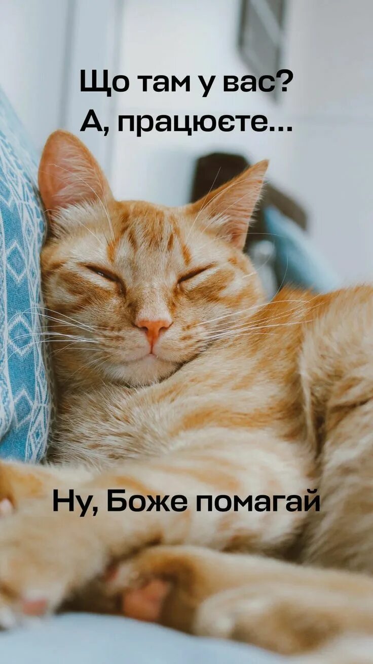 Что такое ну и бог. Улыбка хесуса. Шутки про библию. Что такое ну и бог. Что такое ну и бог.