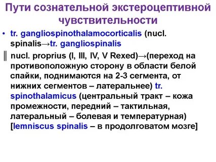 Путь сознательной