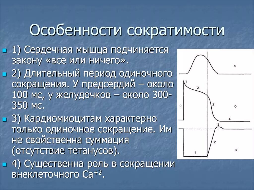 Определение сократимости. Сократимость сердечной мышцы физиология. Особенности сократимости сердечной. Особенности сокращения сердца. Особенности сердечных мышц.