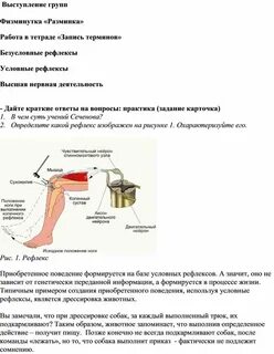 За рефлексы отвечает