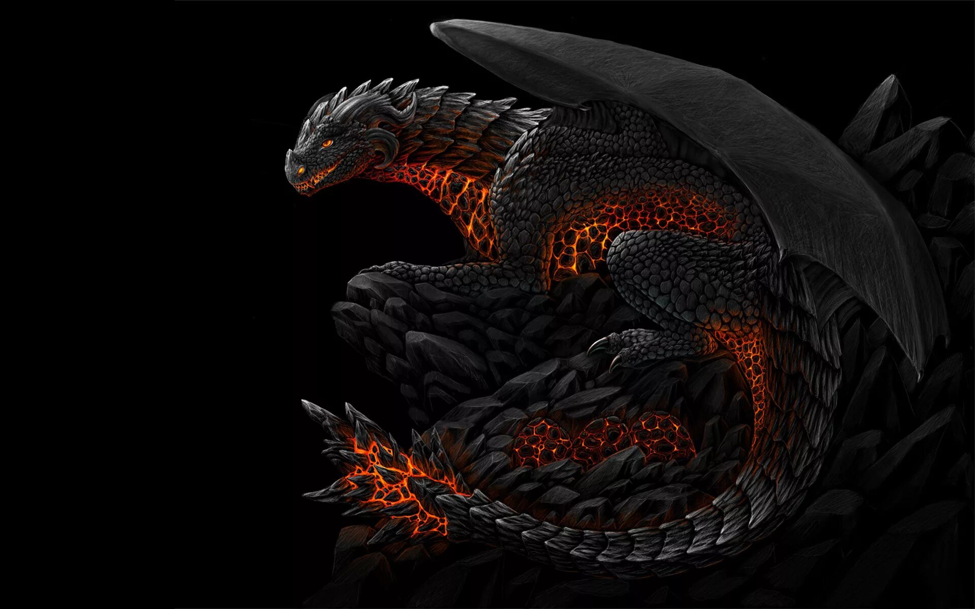 Картинки дракон обои. Перуанский ядозуб дракон. Дракон Блэк драгон. Гебридский чёрный дракон. Обои на рабочий стол дракон.
