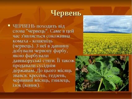 Червень украинский месяц
