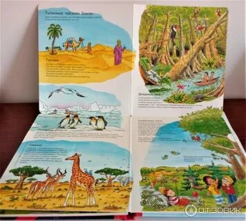 Книга земля и мир