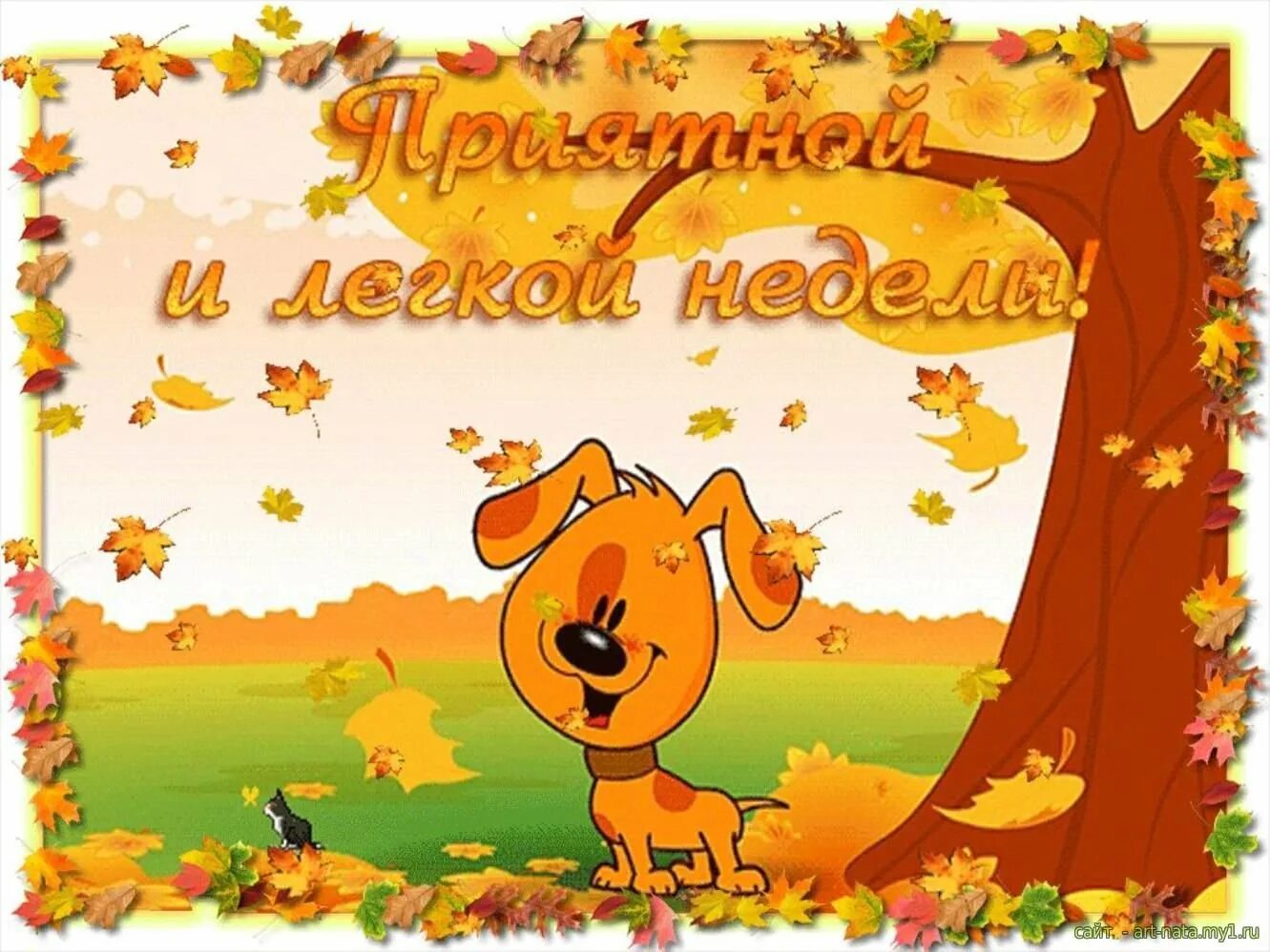 Открытки с добрым утром начало недели. Отличной недели. Удачной осенней недели и хорошего настроения. Хорошей рабочей недели осень. Открытки с добрым понедельником.