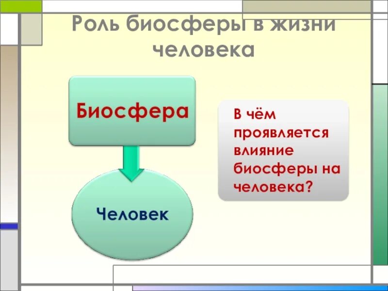 Человек часть биосферы кратко. Роль биосферы в жизни человека. Биосфера и человек. Биосфера и человек презентация. Биосфера и человек 6 класс.