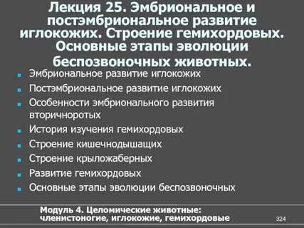 Основные этапы эволюции беспозвоночных животных тест