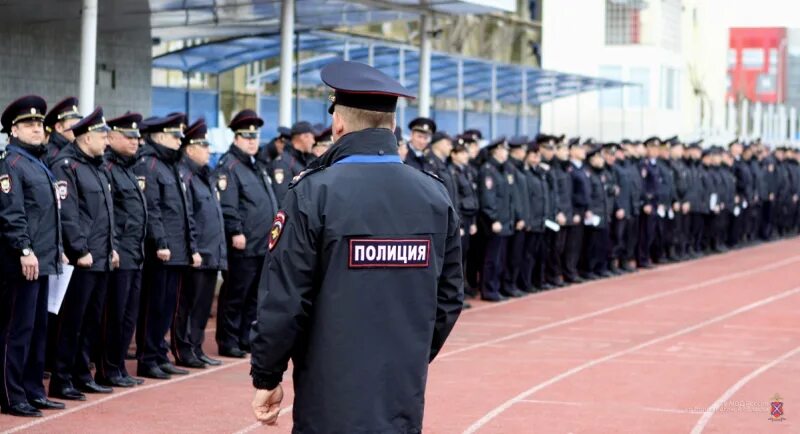 Полиция стадион. Сотрудники полиции на стадионах. Полиция на стадионе. Волгоградские полицейские. Полиция Волгоград.