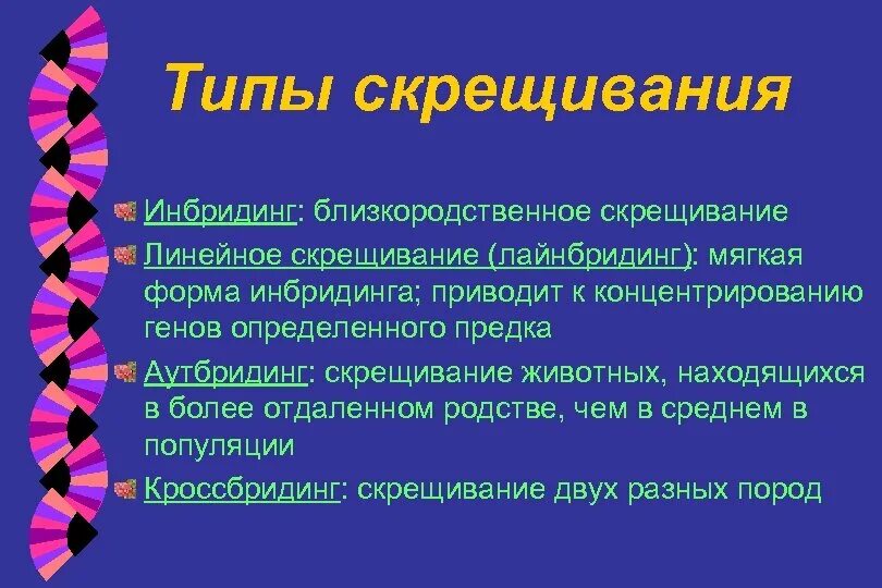 Инбридинг. Типы скрещивания. Типы инбридинга. Близкородственное скрещивание.