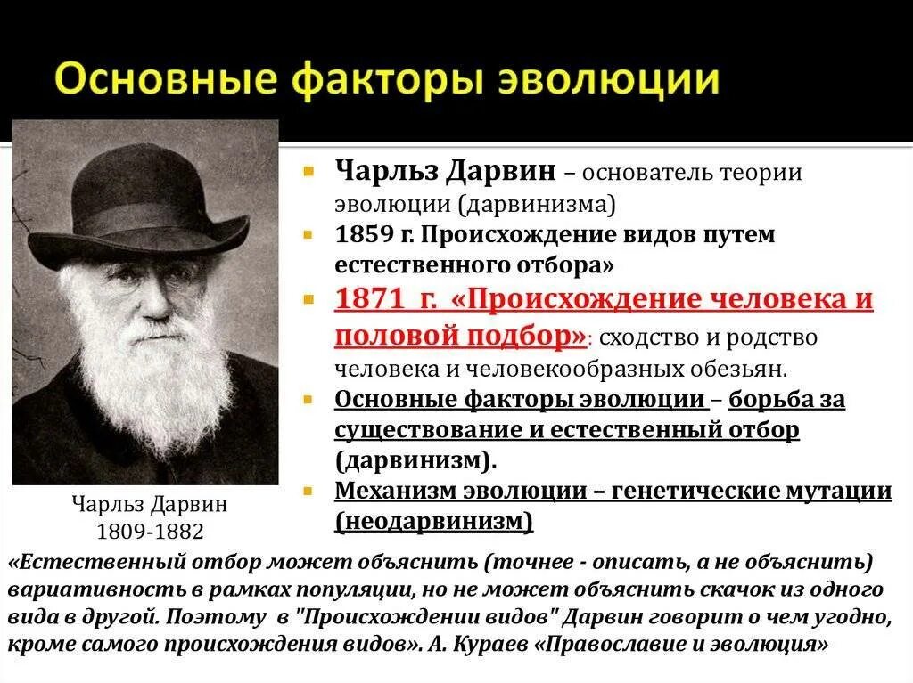 Образование видов по дарвину. Образование видов по дарвину