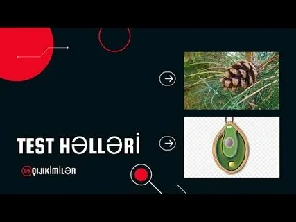 Тест на диму