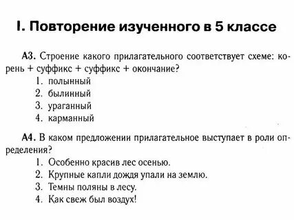 Окончания прилагательных 6 класс