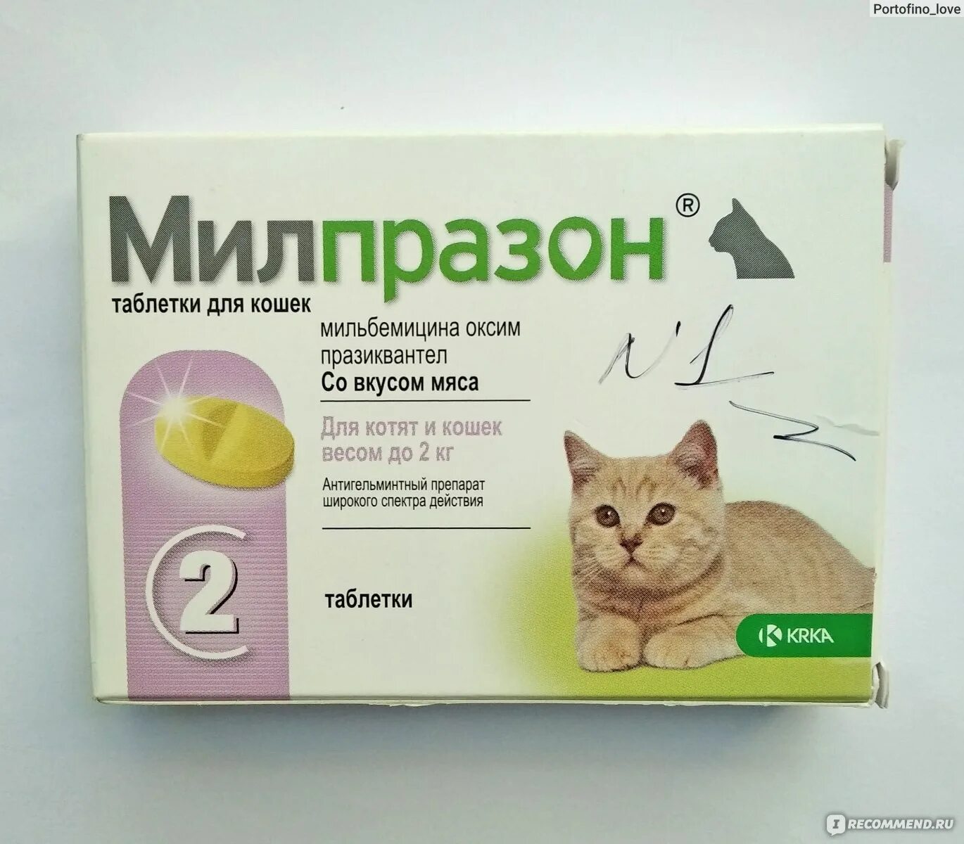 Лекарство гельминтоз. Таблетки от глистов для котят 2 месяца. Таблетки от глистов для кошек. Таблетки от гельминтов для кошек. Таблетки о глистов для кошек.