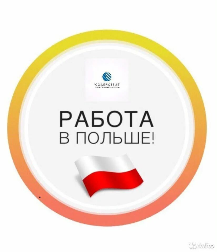 Трудоустройство в европе реклама. Работа в польше вакансии. Польша rabota. Польша вакансии для киргизии. Работа в польше.