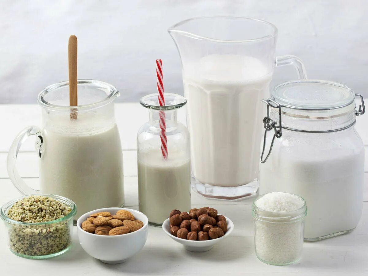Какие продукты приводят молоко. Растительное молоко. Растительные молочные продукты. Растительное и коровье молоко. Растительное молоко разных видов.