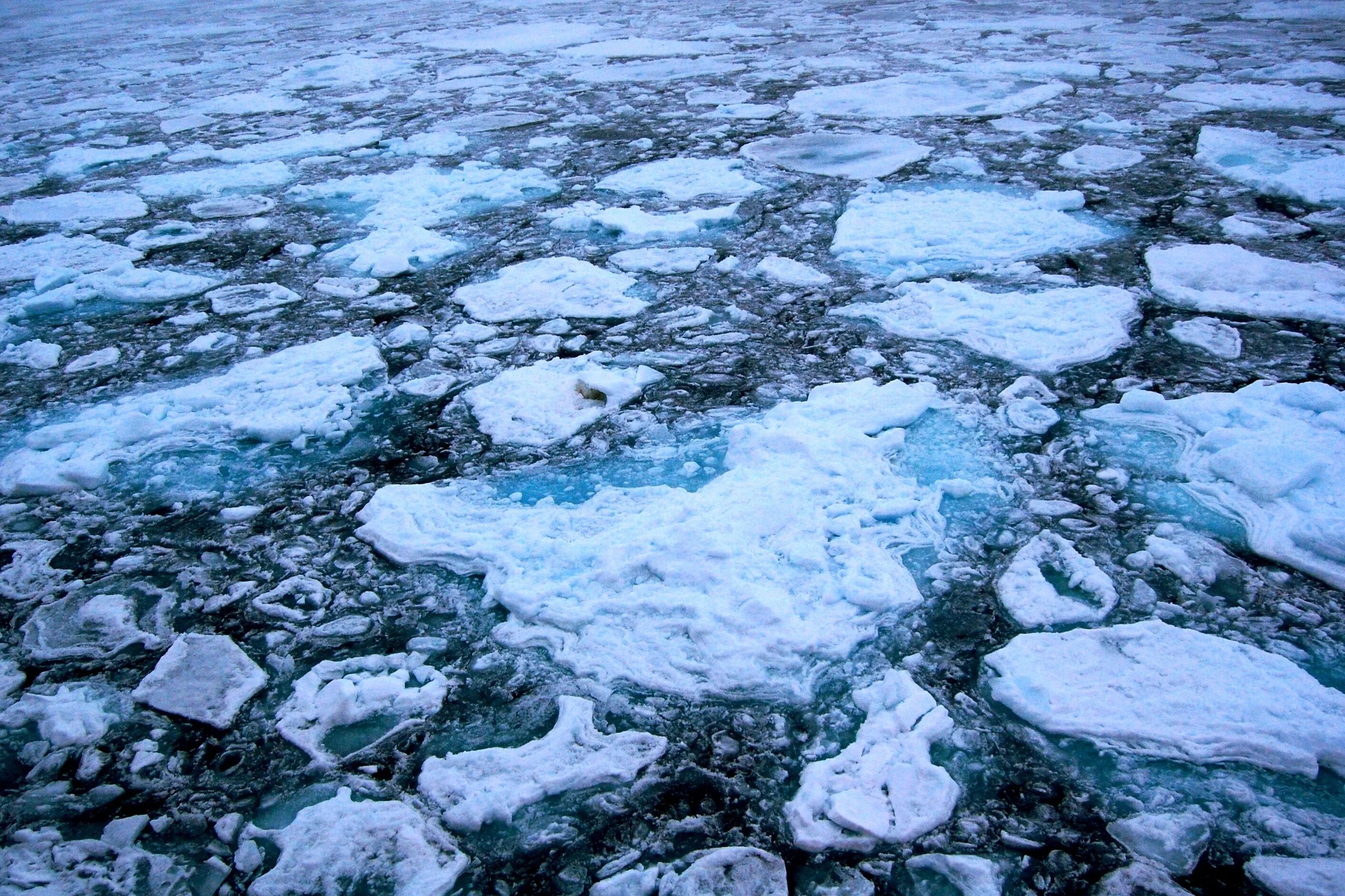 Мелкий лед на воде 4. Лед. Таяние льда. Лед растаял. Арктические водоемы.