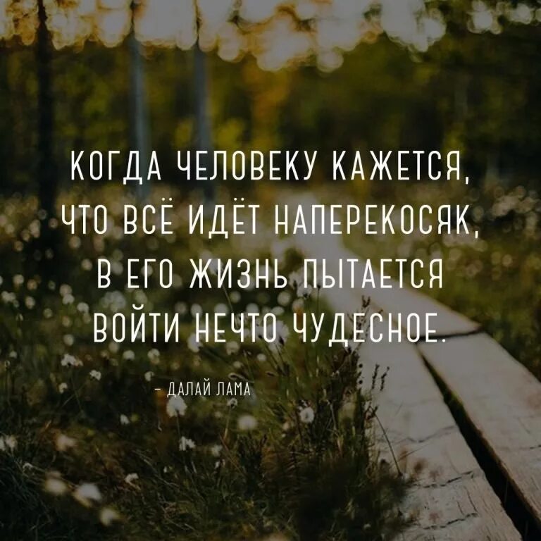 Жизнь идет цитаты. Когда в жизни все идёт напепекосяк. когда человеку кажется что всё идёт. когда человеку кажется что всё идёт наперекосяк. когда все идет на перекасяк.