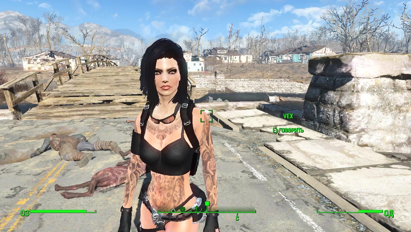 Fallout 4 ускорена. Кейт из фоллаут 4. Компаньон Элизабет для Fallout 4. Содружество Fallout 4. Fallout 4 18.