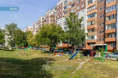 Поляна 31