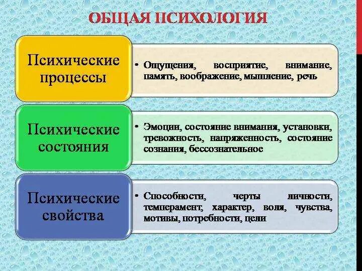 Восприятие и память. Основные психологические процессы. Общая психология. Психические процессы внимание память мышление речь. Мышление и восприятие.