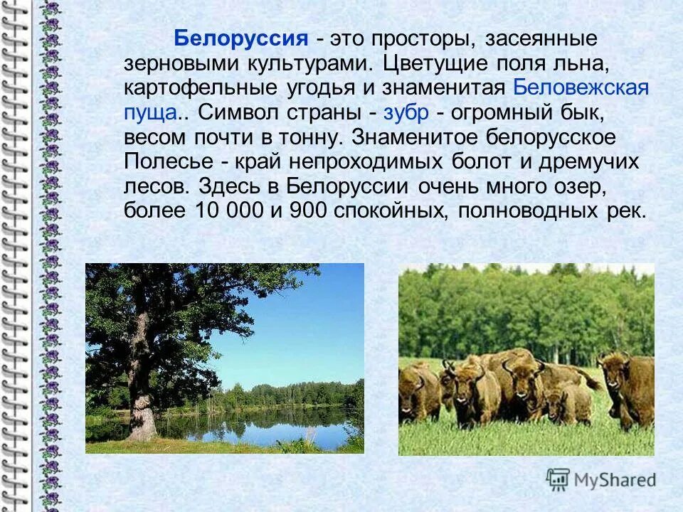 Сообщение про белоруссию. Сообщение про Беларусь. Беловежская пуща доклад. Проект про Белоруссию. Беловежская пуща презентация.