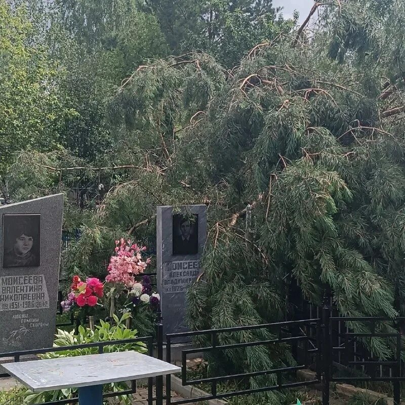 мимо кладбище. мимо кладбище. мимо кладбище. мимо кладбище. кладбище во сне к чему.