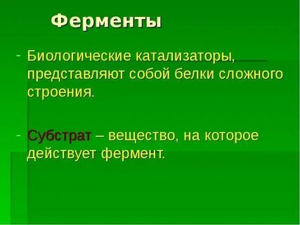 Свойства ферментов биология