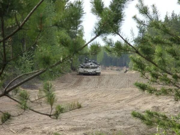 Полигон далама сертолово фото. Гарболово полигон танковый. Полигон далама сертолово. Полигон далама сертолово. Танковый полигон сертолово.