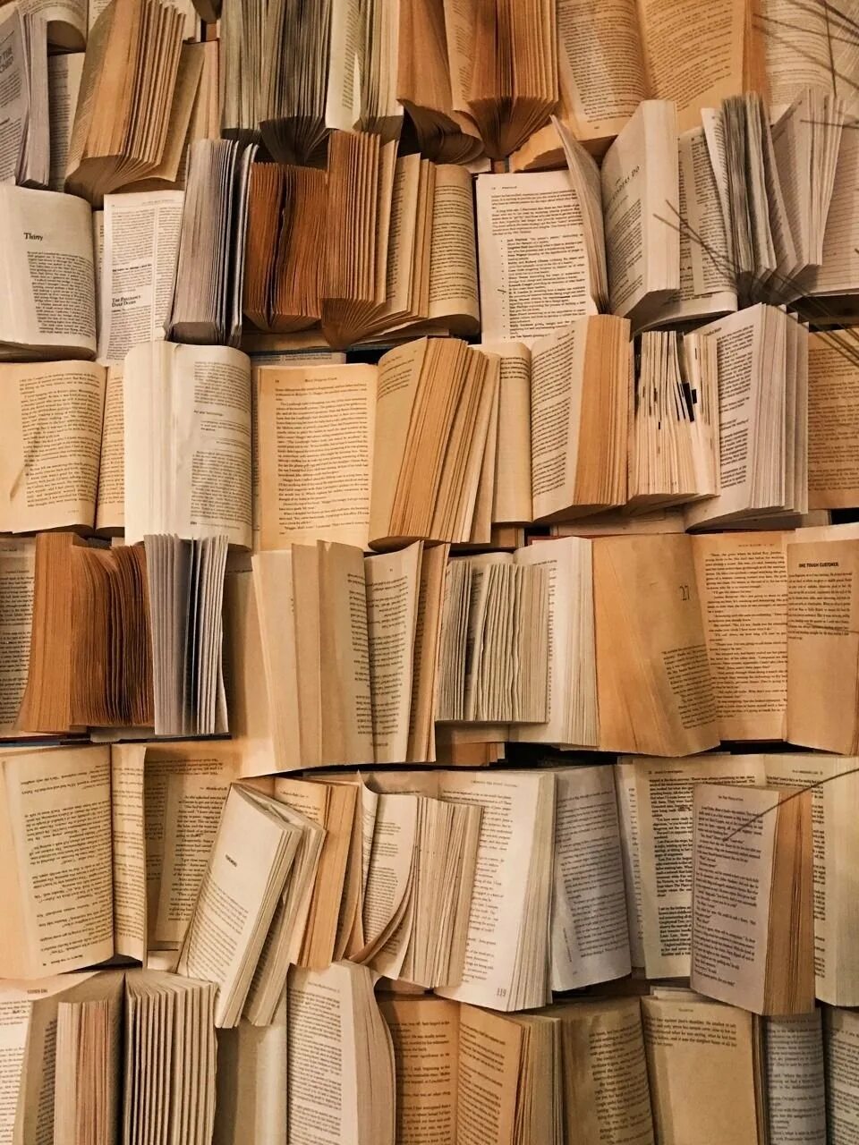 Много книг 2. Много книг 2