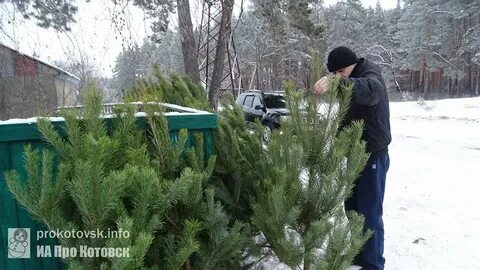 Лесхоз бузулук