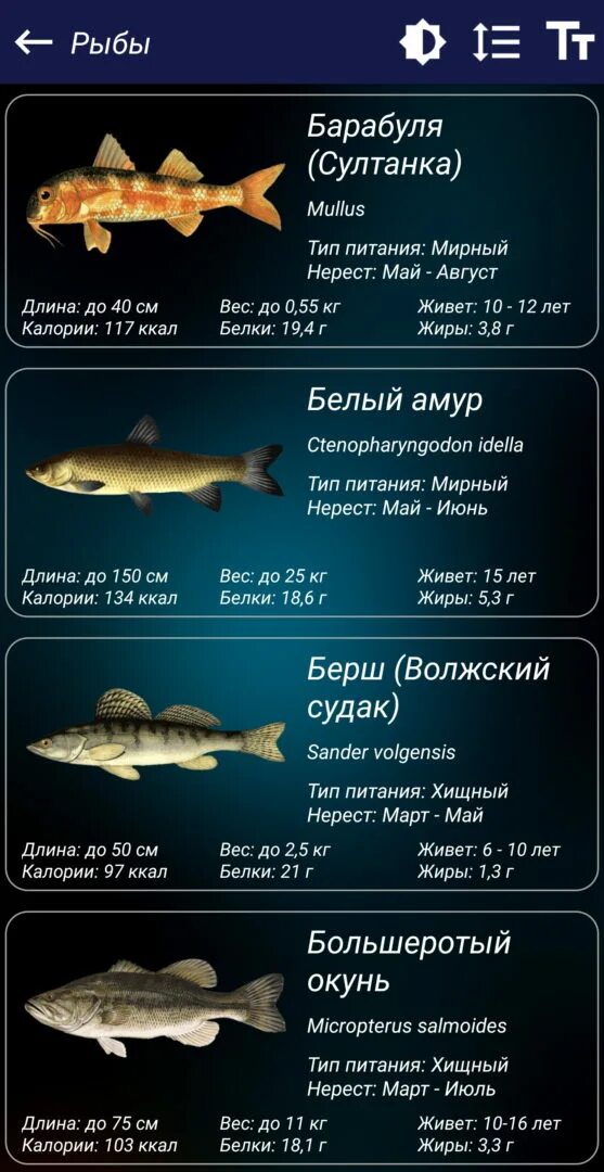 Прогноз клева смоленск. Прогноз клева. рыбный прогноз клева. приложение клев. прогноз клёва рыбы на завтра.