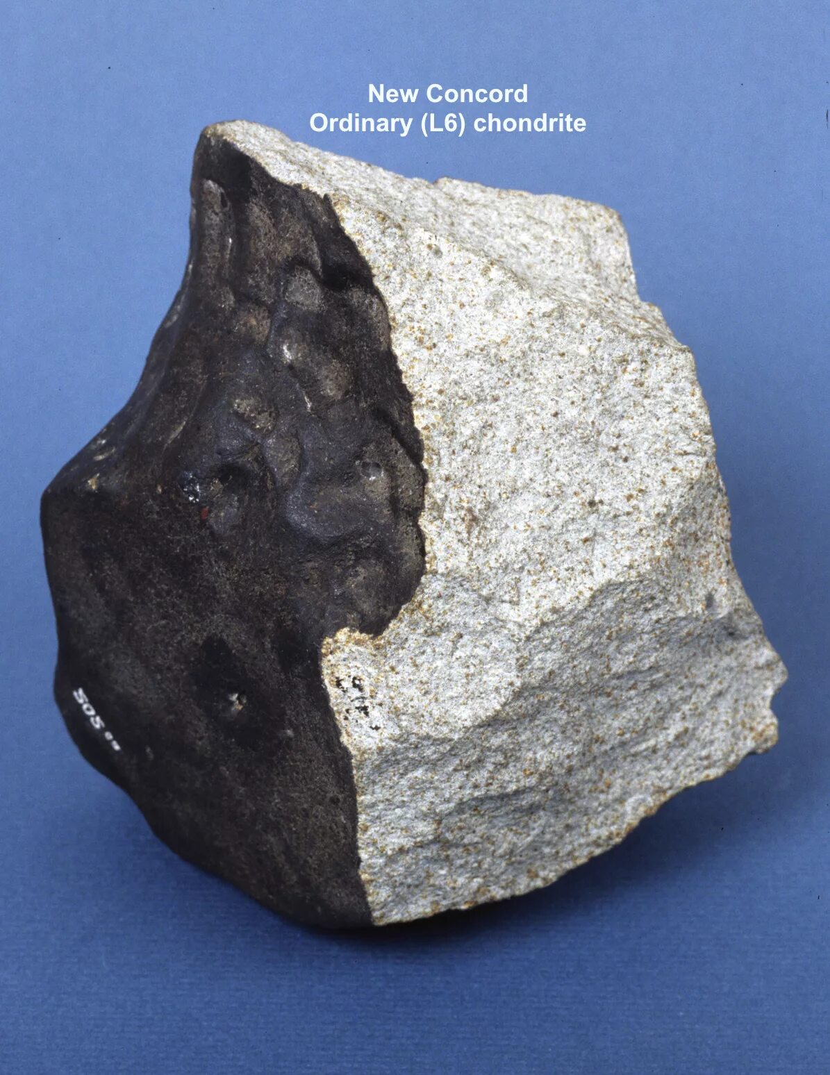 Белый метеорит фото. Белый метеорит. Марсианский базальт. Астероид на белом фоне. Метеориты уреилиты.