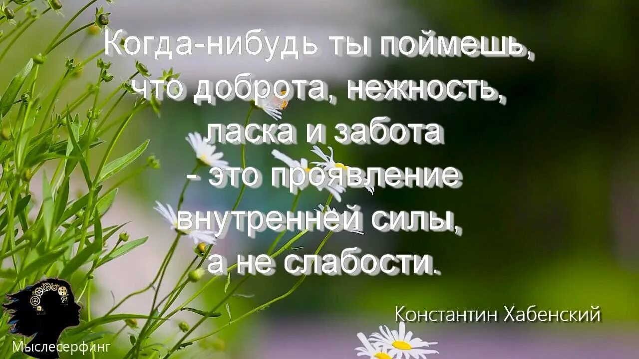 Когда нибудь ты поймёшь что доброта нежность ласка и забота. Цитаты о нежности и доброте. Доброта нежность ласка и забота это. Когда-нибудь ты поймешь что доброта нежность. Забота это 9.3