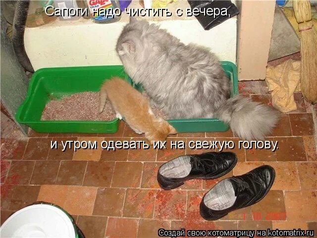 Со свежей головой. Свежая голова мем. Dandruff псориаз. Со свежей головой. Голова на подушке.